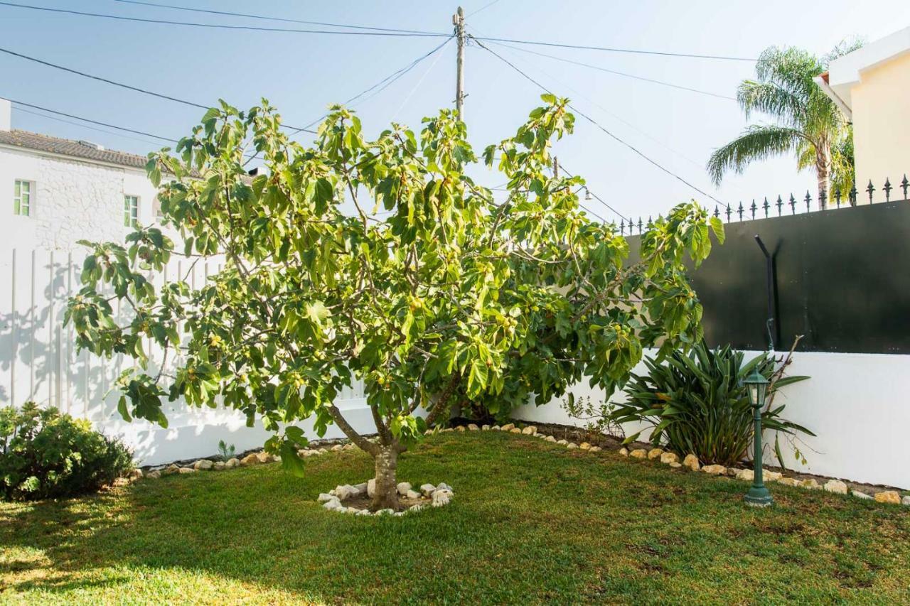 Casa Da Quintinha - Villa With A Pool Σεσίμπρα Εξωτερικό φωτογραφία